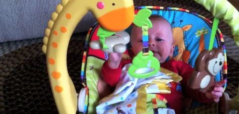 George of the Jungle 539