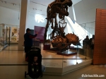 View the album March 2012